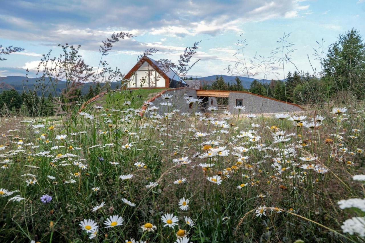 Beechtree Property Izvoare  Εξωτερικό φωτογραφία