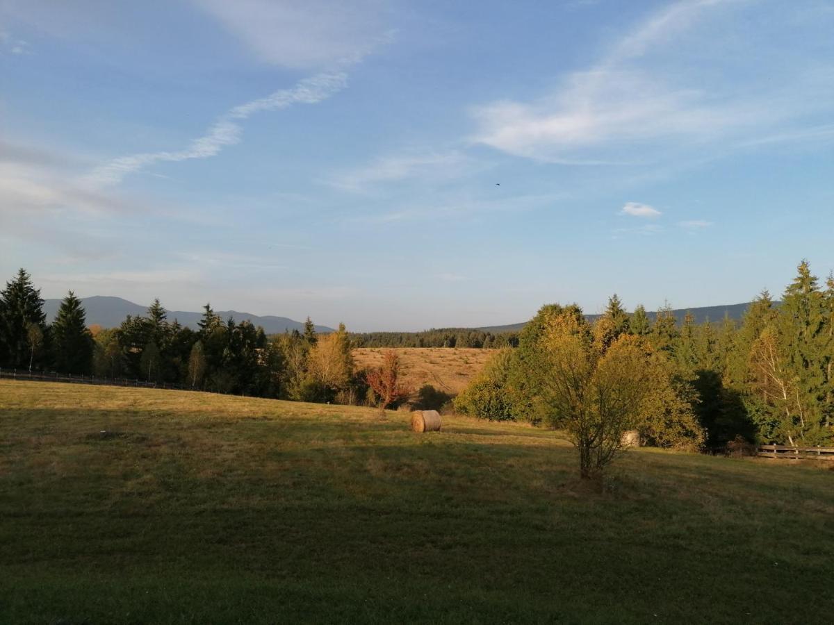 Beechtree Property Izvoare  Εξωτερικό φωτογραφία